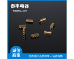 防爆銅接線(xiàn)柱 (1)